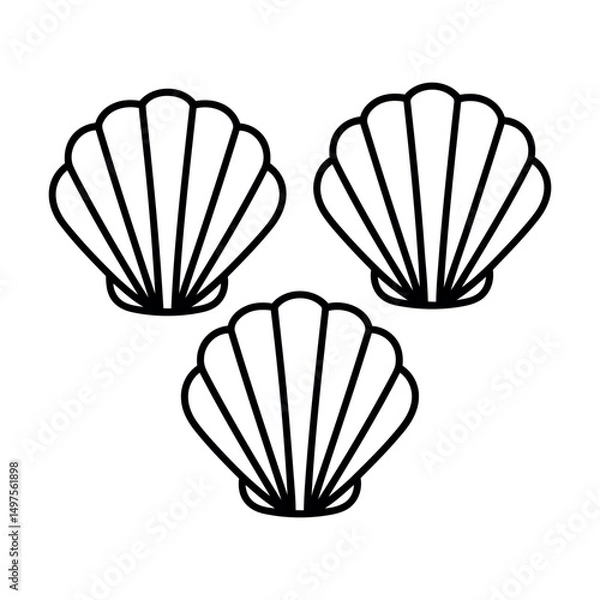 Obraz vector illustration of seashell