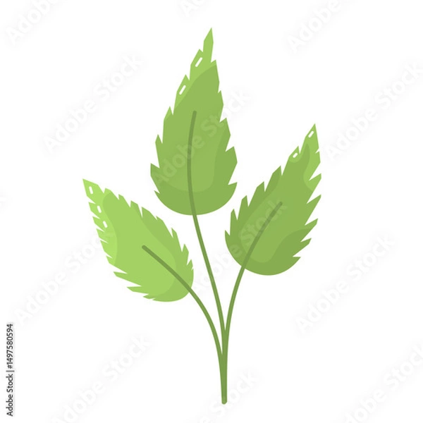 Fototapeta Three decorative bright green leafs in simple flat style. Leaves isolated on white background. Eco-friendly symbol for design and print. Three leaf clip art in vector. Natural sign for packages.