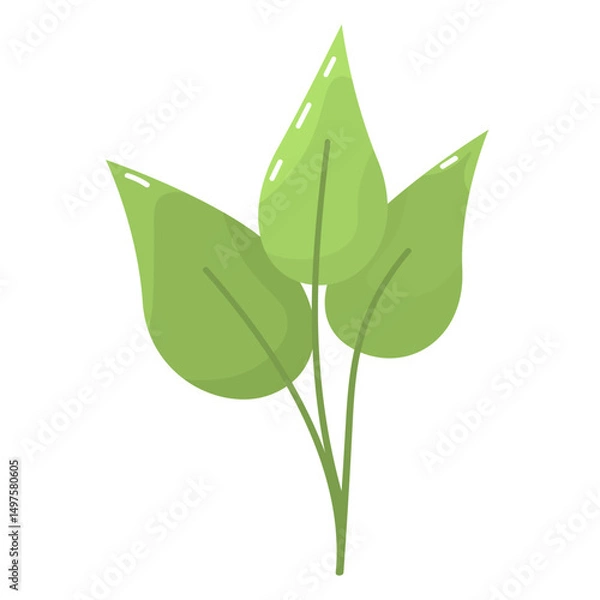 Fototapeta Three green leaf in simple flat style. Leaves isolated on white background. Eco-friendly symbol for design and print. Three leaf clip art in vector. Natural sign for packages. Bright green leaves.
