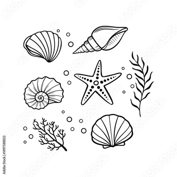 Fototapeta set of sea shells,conch,tentacle,starfish,corals icon hand drawn, vector