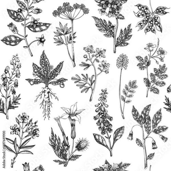 Fototapeta Witch herbs seamless pattern. Bohemian background. Poisonous plants and flowers design. NOT AI generated