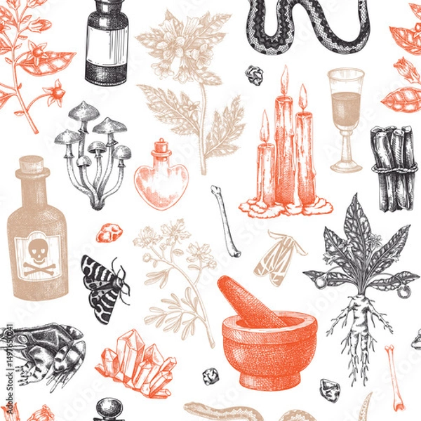Fototapeta Witchcraft seamless pattern. Bohemian background. Witch herbs, poisonous plants, magic ingredients and floral elements. NOT AI generated