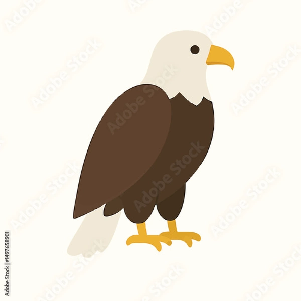 Obraz bald eagle isolated on white