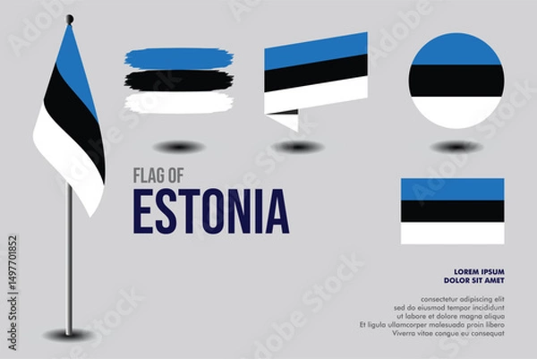 Obraz Set of Estonia flag in 5 designs: flag on pole, brush stroke, skew, round and standard. vector, flat, isolated on grey background