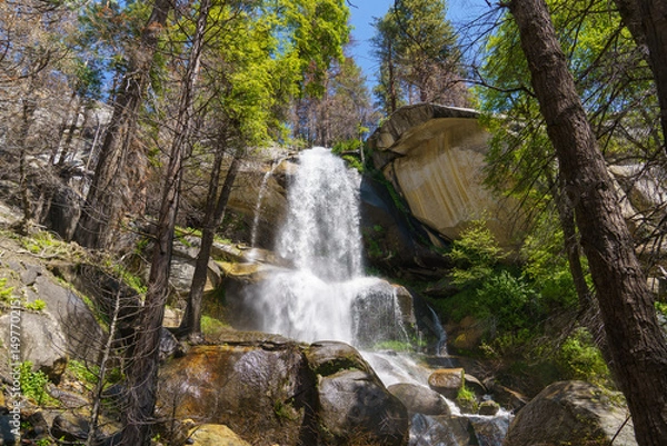 Fototapeta Nobe Young Falls in Sequoia National Forest. Viewed from below. Johnsondale, California