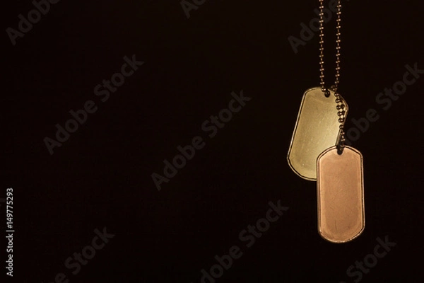 Fototapeta Military ID tags on a dark background
