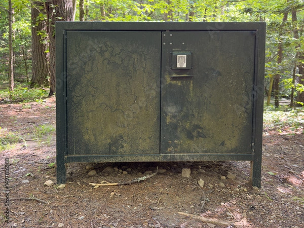 Obraz Bear and Wildlife Resistant Food Metal Box in a Forest