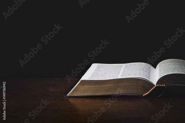 Obraz Isolated Holy Bible