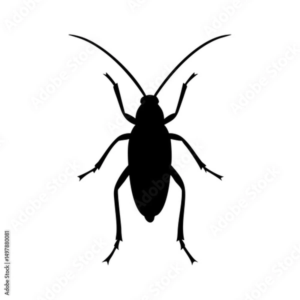 Obraz Black silhouette of a cockroach insect illustration