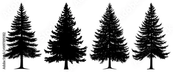 Fototapeta PNG Silhouette of four evergreen trees transparent background.