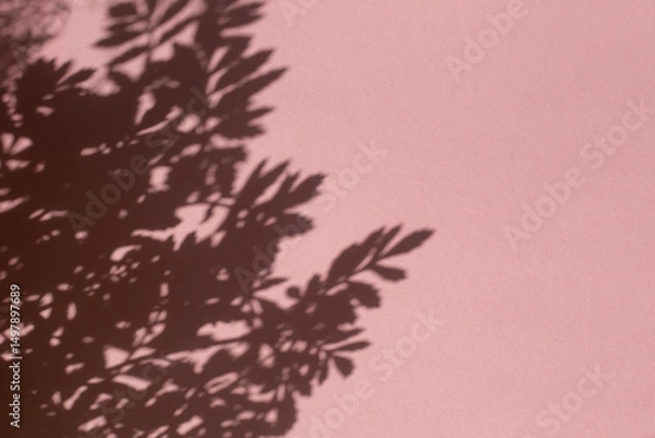 Obraz Leaves shadows on the pink paper background. Copy space