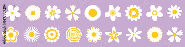 Fototapeta Cute vector set with simple retro daisy flowers, cartoon floral illustration icons
