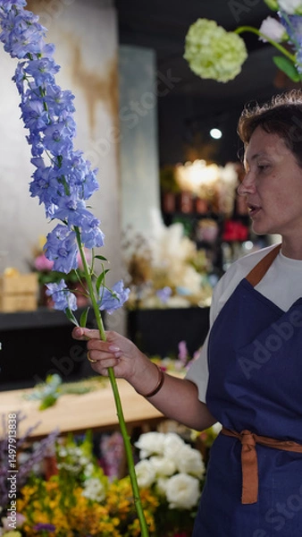 Fototapeta A florist in a flower shop makes a bouquet of blue delphiniums. Small business.  Close-Up.  Soft focus.