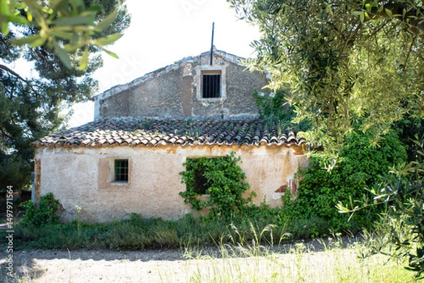 Obraz Abandoned houses in ruins devoured by vegetation and nature