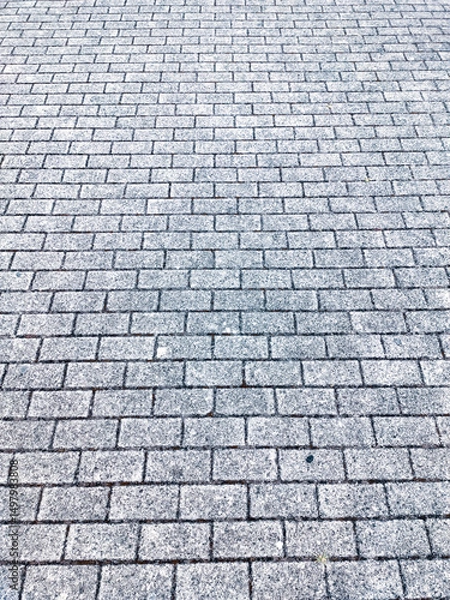 Fototapeta Suelo de adoquines