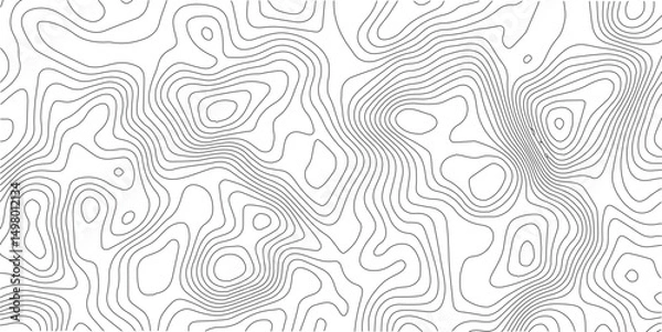 Fototapeta Topographic Background. Abstract wavy and curved lines background. Abstract pattern with Lines. Background of the Topographic Map. Abstract geometric topographic contour map background Free Vector
