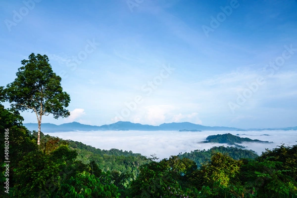 Obraz A scenic view of green mountain with fog, presenting a breathtaking scenery at Khao Phanoen Thung, Kaeng Krachan National Park, Phetchaburi Province,Thailand.