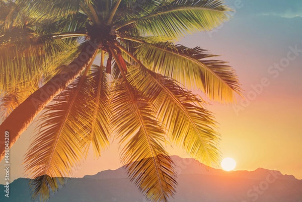 Fototapeta Beautiful tropical sunset with palm trees silhouetted against an orange and pink sky, creating a relaxing beach vibe perfect for vacation, summer, travel, and nature lovers