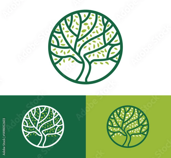 Obraz circular logo with stylized tree with a curved trunk, line art style, in three variations