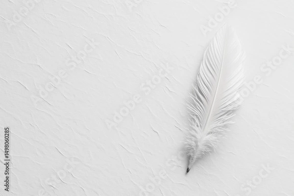 Fototapeta Serene Minimalist Image Single White Feather on Textured White Paper Background, Perfect for Elegant Designs, Invitations, or Inspirational Projects, Evoking Feelings of Peace, Purity, and Simplicity.