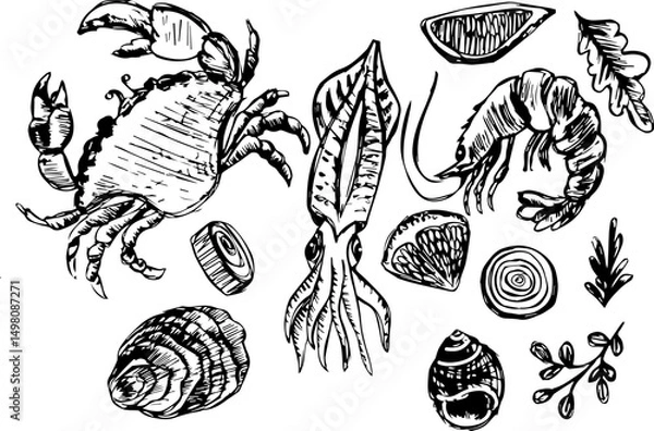 Obraz Seafood illustrations including crab, shrimp, squid, and shellfish  