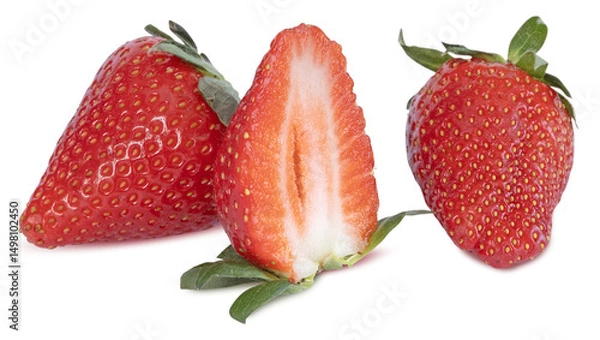 Obraz Fraises Gariguette	