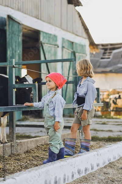 Obraz Happy kids on a farm in summer. Farmer girls play with cows. Child and animal friendship. Childhood in the countryside