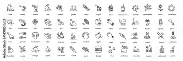 Obraz  Vector set of outline icons representing common allergens: food, environmental, chemical, cosmetic. Perfect for use in packaging, health and safety labeling, medical infographics, allergy guides.