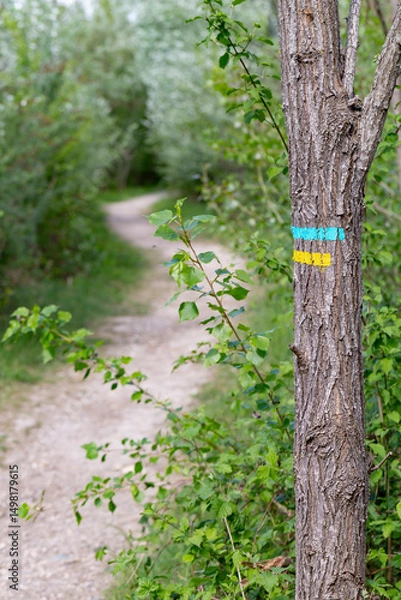 Fototapeta Blue and yellow markup of a hiking itinerary on a trunk in the countryside. Itineraries in France, repere excursion marking.