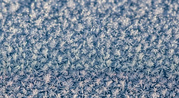 Obraz Intricate sparkling frost patterns on a winter surface