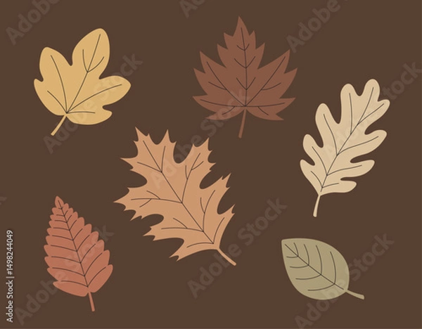 Fototapeta autumn leaves collection vector scalable colorful leaf illustrations strokes graphic resources unique shapes brown background