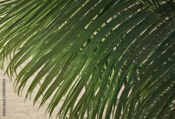 Obraz Deep emerald palm leaf, sunlit texture details ,  wallpaper,  foliage,  jungle