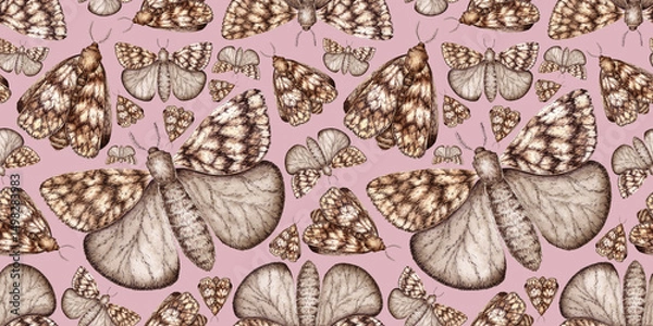 Fototapeta Grey-brown moth, with wings folded and spread, watercolor illustration. Insect Lepidoptera, isolated on pink. Pattern for textile, wallpaper, wrapping paper