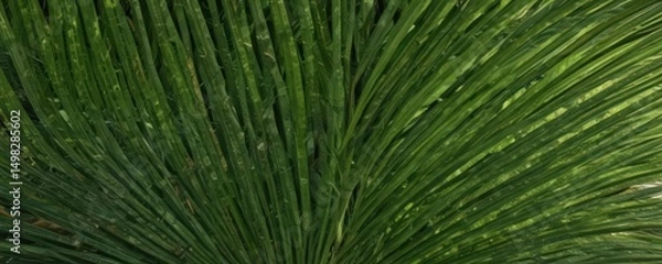 Obraz Intricate veins, vibrant green palm frond texture ,  organic,  texture,  vibrant