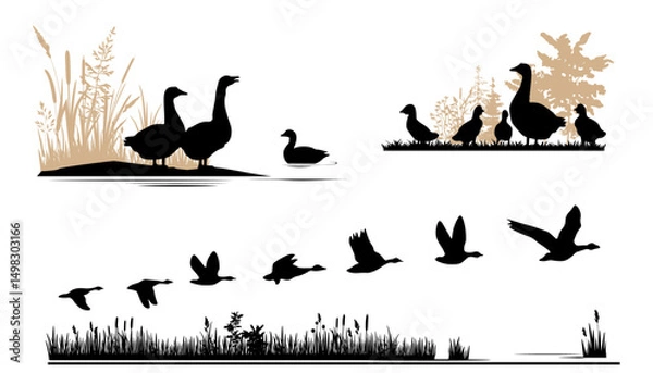 Fototapeta Nature landscape with birds silhouettes. Ducks and geese.  Vector illustration.	