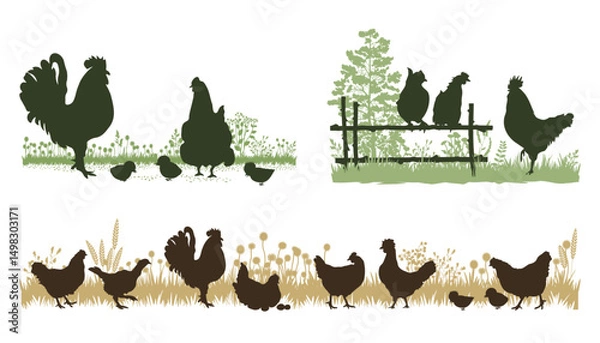 Fototapeta Nature landscape with birds silhouettes. Chickens in the poultry yard. Vector illustration.	

