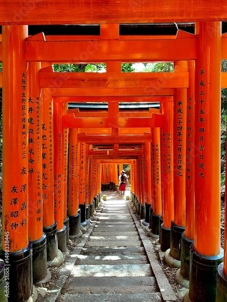 Obraz Vibrant Red Torii Gates at Fushimi Inari Taisha