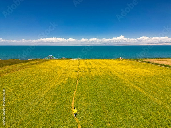 Obraz Iconic aerial view on Qinghai Lake, Hainan Tibetan Autonomous Prefecture, Qinghai Province