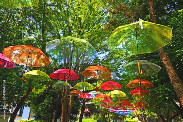 Fototapeta 青空に浮かぶアンブレラスカイ