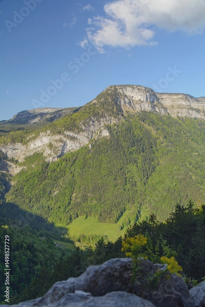 Obraz Du pas du Roc, à Champlaitier