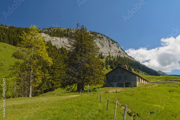 Obraz Du pas du Roc, à Champlaitier