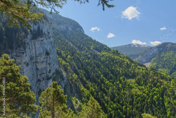 Obraz Du pas du Roc, à Champlaitier