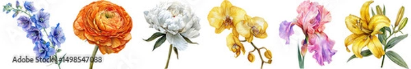 Fototapeta Vibrant Collection of Colorful Flowers in Various Shades for Decorative Purposes and Nature-Themed Projects