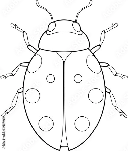 Fototapeta Line art shows ladybug beetle with spots on its wing covers against white