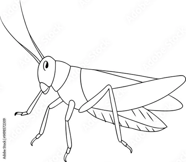 Fototapeta Outlined grasshopper stands isolated, its slender antennae, legs, and wings clearly defined on transparent background