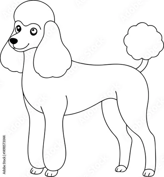 Fototapeta Outlined poodle dog standing calmly displays distinctive fur and fluffy tail on white background