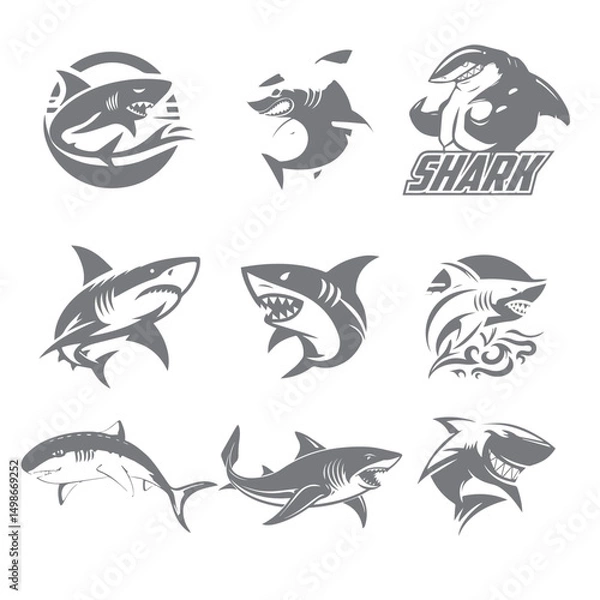 Obraz angry shark vector