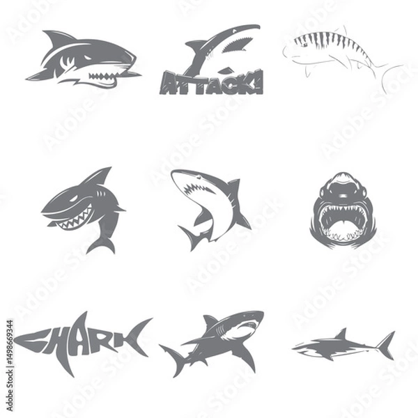 Obraz shark vector