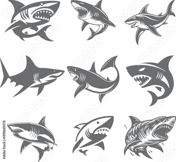 Obraz angry shark vector