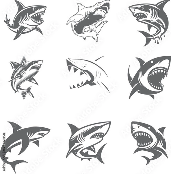 Obraz shark vector